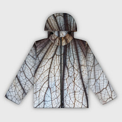 Женская ветровка Прожилки растения