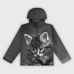 Ветровка с капюшоном женская Голубоглазый котенок, цвет: 3D-черный