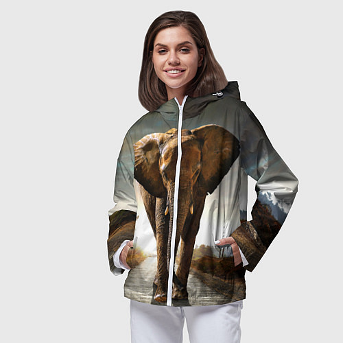 Женская ветровка Дикий слон / 3D-Белый – фото 3